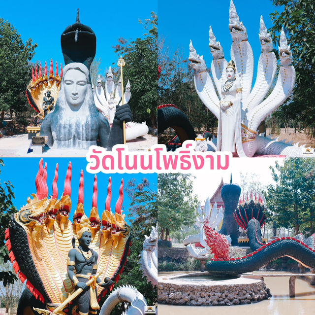 วัดโนนโพธิ์งาม