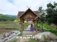 แพลนเที่ยวปาย(ฤดูฝน)แม่ฮ่องสอน🌳2 วัน 1 คืน