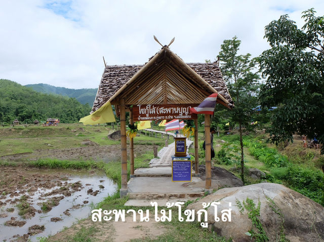 แพลนเที่ยวปาย(ฤดูฝน)แม่ฮ่องสอน🌳2 วัน 1 คืน