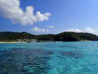 慶良間諸島--座間味島的浮潛有海龜相陪