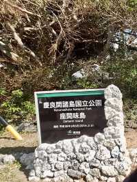 慶良間諸島--座間味島獨木舟初體驗