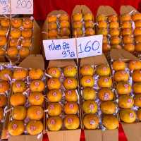 เก็บส้ม🍊 กินส้ม ที่สวนส้มชไมพร เชียงใหม่