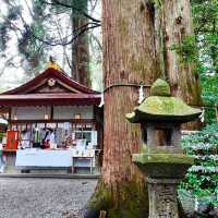 清靜之地～淺澤神社