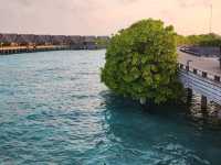 モルディブの楽園「Milaidhoo Maldives」で極上のリゾート体験