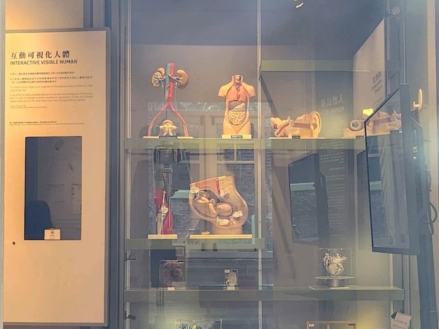 🏥香港醫學博物館🏛️