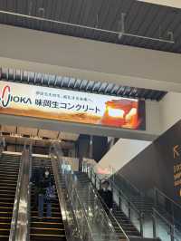 🇯🇵국내선이 중심이던 공항