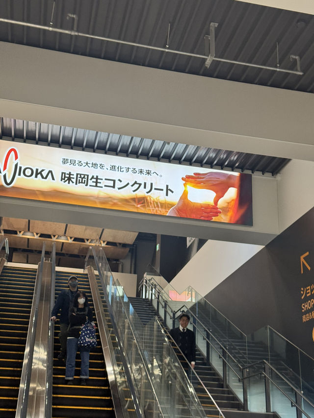🇯🇵국내선이 중심이던 공항