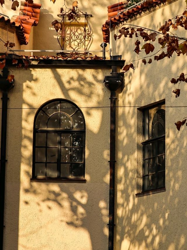 Fuxing West Road｜Gentle Serenity Beneath the Plane Trees