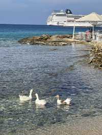 Spring in Mykonos: A Floral Wonderland