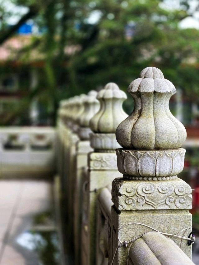 🙏【大嶼山寶蓮禪寺抄經靜心攻略】  