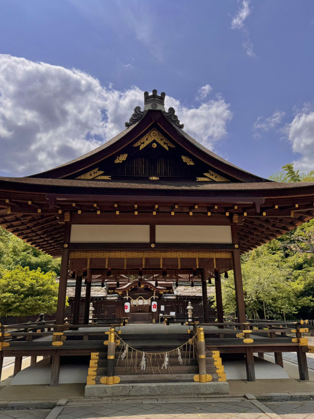 🏯 교토 필수 관광지 BEST 5 – 일본 전통 감성을 제대로 느낄 곳!