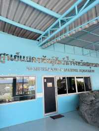 ศูนย์แสดงพันธุ์สัตว์น้ำใกล้กรุงเทพ ชมฟรีด้วย