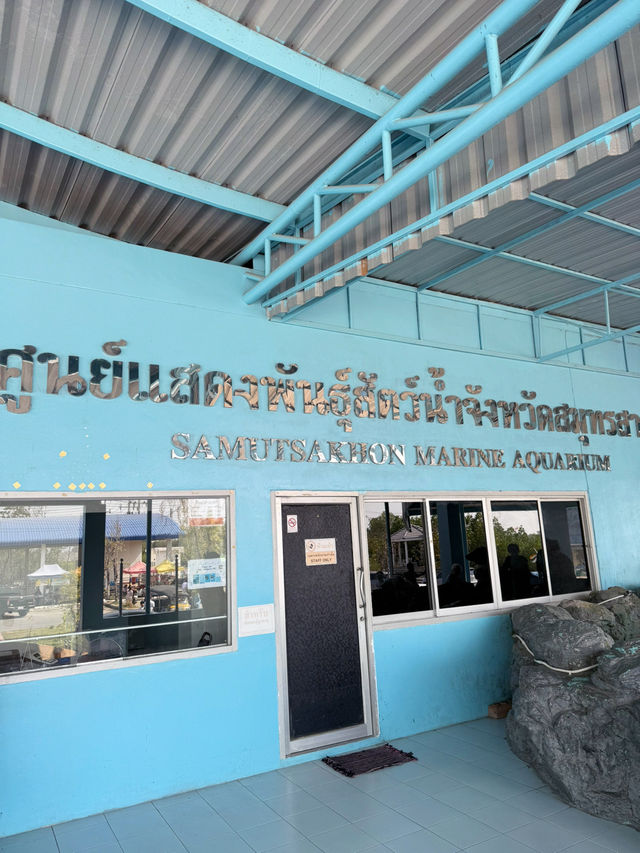 ศูนย์แสดงพันธุ์สัตว์น้ำใกล้กรุงเทพ ชมฟรีด้วย