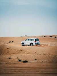 Desert Safari in Dubai!