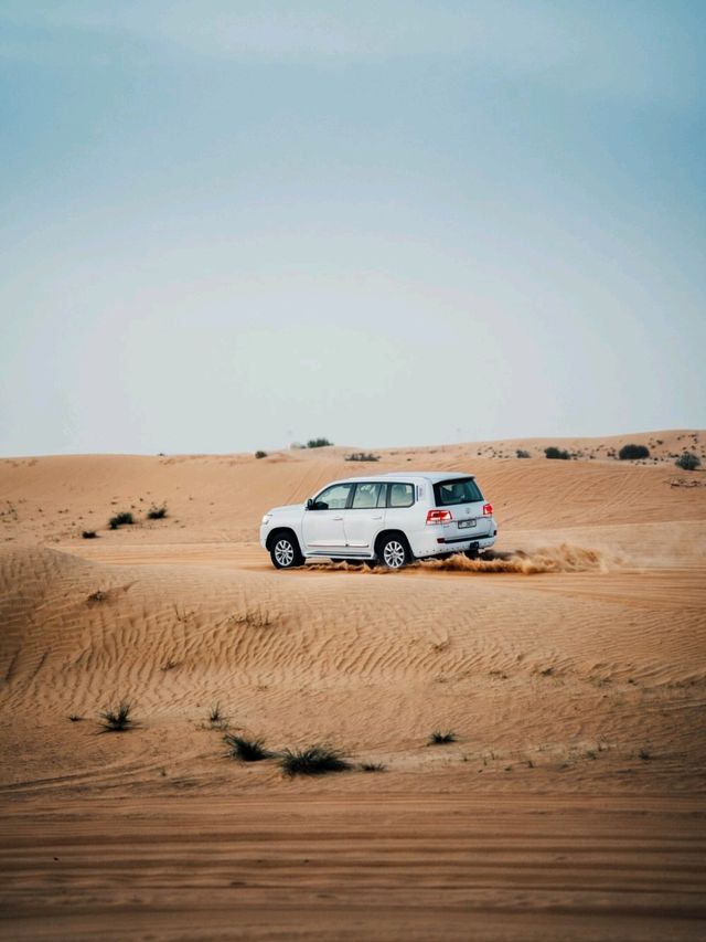 Desert Safari in Dubai!