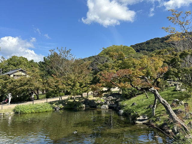 神聖與美麗的交融：探訪京都八坂神社的文化之旅
