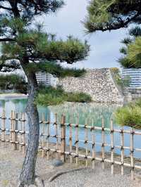 예쁜 벚꽃을 만나보기 좋은 일본 소도시, 다카마쓰🇯🇵
