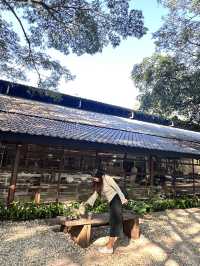 Biscuit Cafe Lampang : คาเฟ่ในแกลอรี่ เกาะคา ลำปาง
