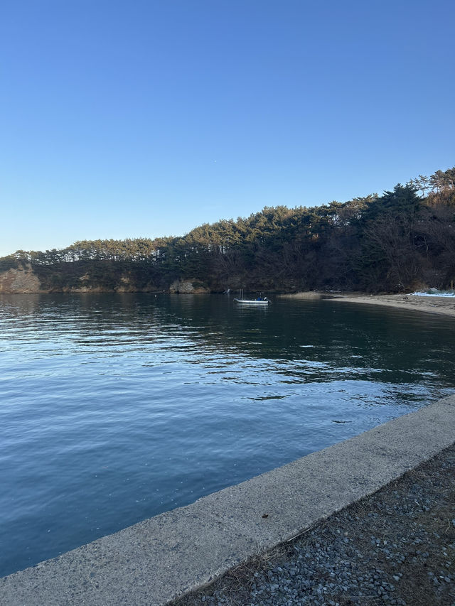 카페 HORI☁️🫧 서산 바다보기 좋은 스팟🩵