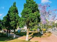 越南大叻市中心著名城市綠洲公園景點：Công Viên Trần Hưng Đạo，適合打卡拍照📸親子遊
