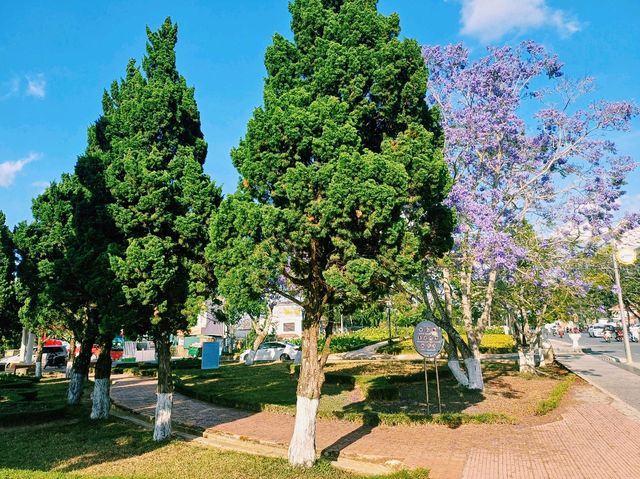 越南大叻市中心著名城市綠洲公園景點：Công Viên Trần Hưng Đạo，適合打卡拍照📸親子遊