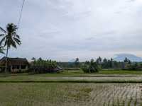 Learning to Cook Like a Local at Ubud
