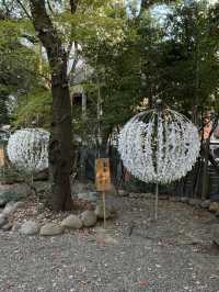 Spring Outing at Nogizaka Shrine – A Hidden Sakura Haven