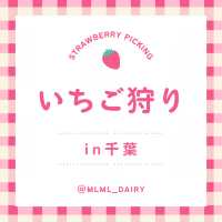 【千葉】でいちご狩り🍓