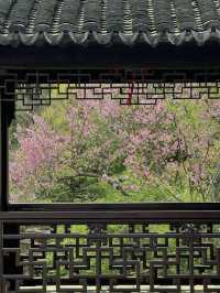 Exploring Spring at Tiger Hill in Suzhou – A Next-Level Spring Experience 🌸