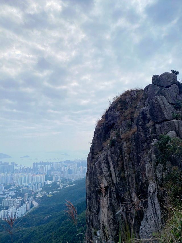 獅子山的日與夜，看不膩的百萬夜景🌃