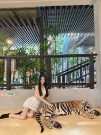 泰國-芭達雅 Tiger Park-Pattaya