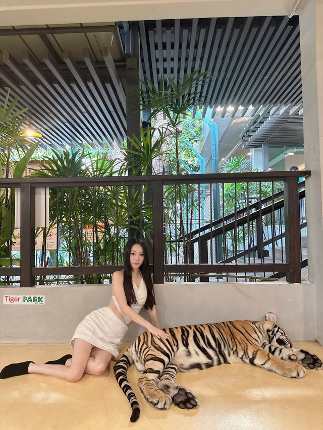 泰國-芭達雅 Tiger Park-Pattaya
