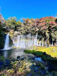 水のベールに包まれて。神秘の絶景、白糸ノ滝で心洗われるひととき