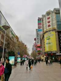 Timeless Elegance: A Stroll Down Nanjing Road Pedestrian Street