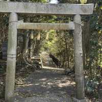 波の音を聞きながら離島巡り❤️