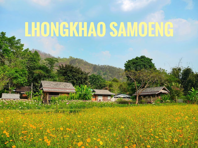 🌾 Lhongkhao Samoeng หลองข้าวสะเมิง 