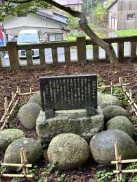 【福井× 栢野の大杉】樹齢2300年の御神木