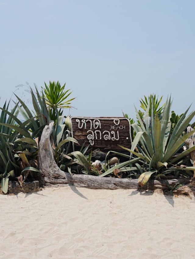 ⛱  ดำน้ำดูปลา เกาะแสมสาร