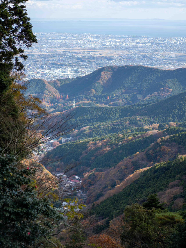 ついに頂上到達！神奈川・大山からの絶景パノラマ✨🏔️