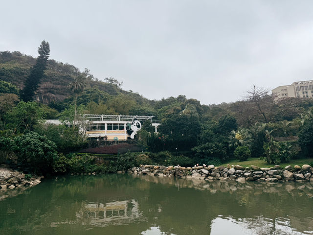 🏞️澳門隱藏版親子祕境！石排灣郊野公園一日遊攻略🐼