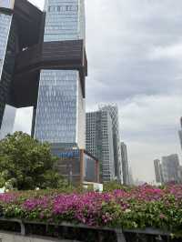 Nantou City @ Shenzhen