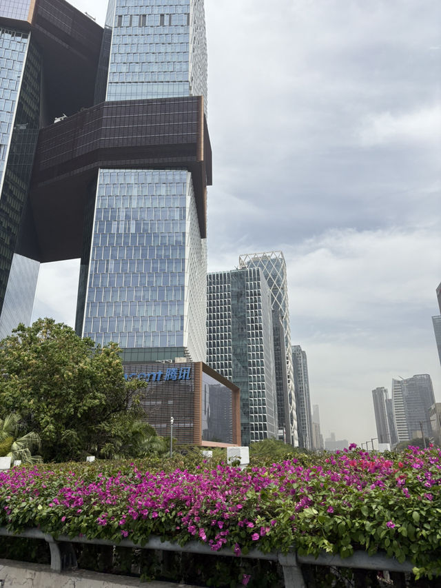 Nantou City @ Shenzhen