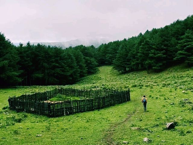 中國雲南大理著名景點鳥吊山旅行攻略，適合打卡拍照📸