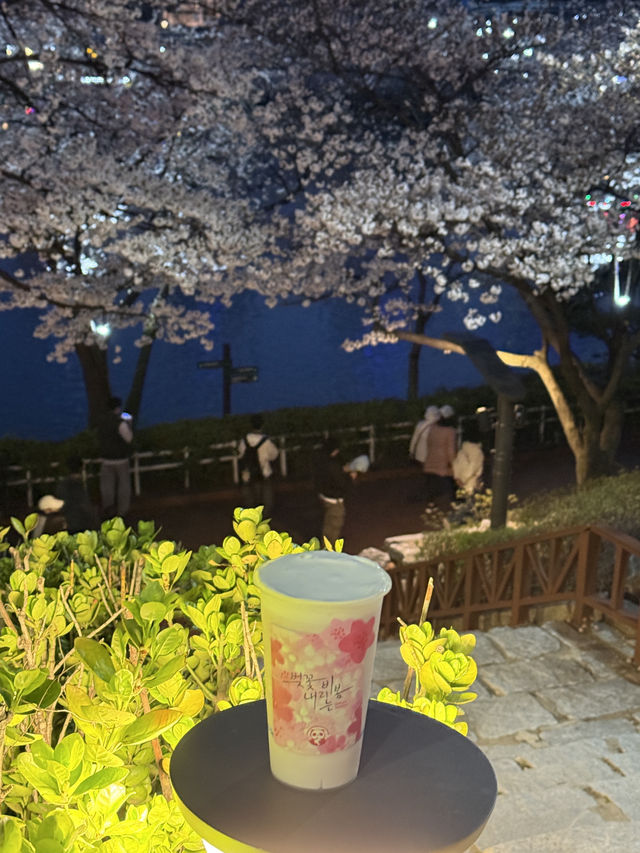 한국애도 상륙한 중국카페 차백도!