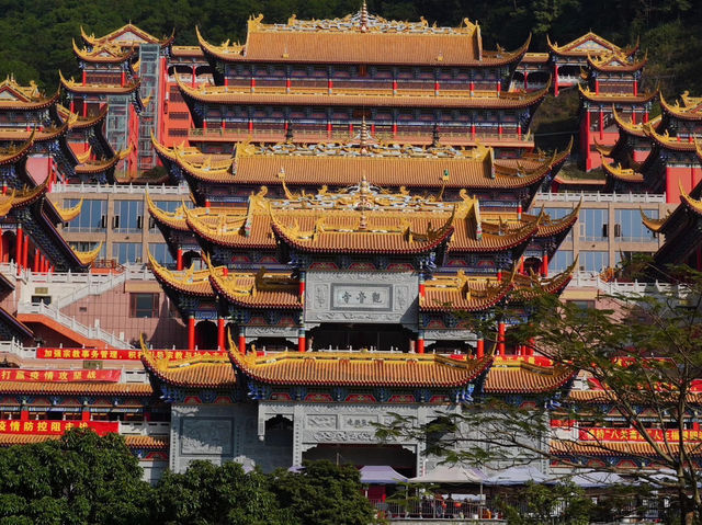 A Moment of Stillness at Guanyin Temple