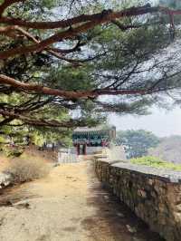 🇰🇷韓國清州，便宜又舒適的韓國旅遊新選擇！