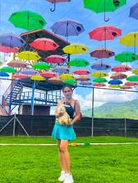 Chillin’ Above the Clouds – Kundasang Vibes!"