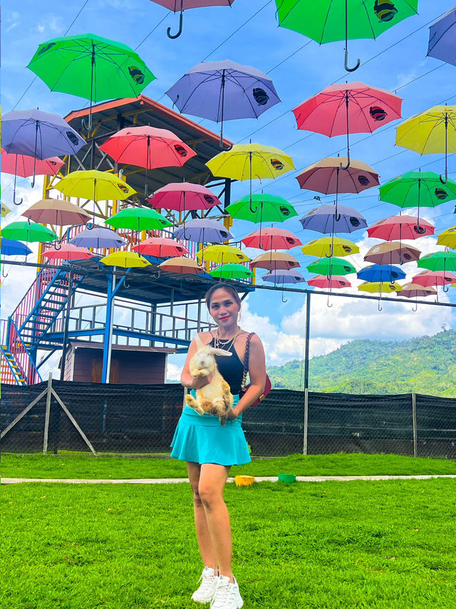 Chillin’ Above the Clouds – Kundasang Vibes!"