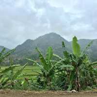 Réserve Peyrieras Madagascar Exotic｜近距離認識馬達加斯加生物