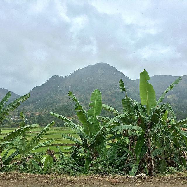 Réserve Peyrieras Madagascar Exotic｜近距離認識馬達加斯加生物